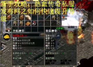 新手攻略：热血传奇私服发布网之如何快速提升等级