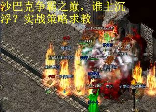 沙巴克争霸之巅，谁主沉浮？实战策略求教