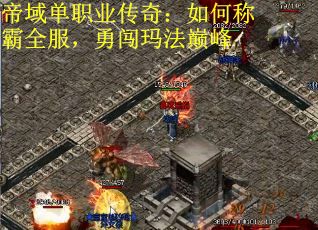 帝域单职业传奇：如何称霸全服，勇闯玛法巅峰