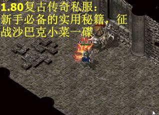 1.80复古传奇私服：新手必备的实用秘籍，征战沙巴克小菜一碟