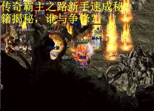 传奇霸主之路新手速成秘籍揭秘，谁与争锋？