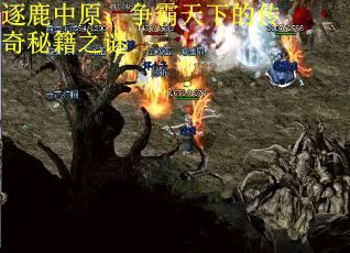 逐鹿中原,争霸天下的传奇秘籍之谜