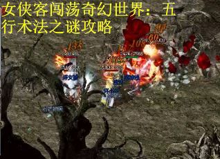 女侠客闯荡奇幻世界：五行术法之谜攻略
