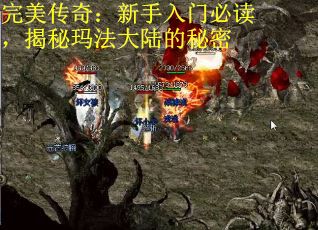 完美传奇：新手入门必读，揭秘玛法大陆的秘密