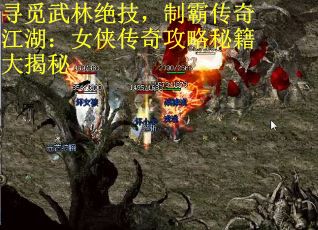 寻觅武林绝技,制霸传奇江湖:女侠传奇攻略秘籍大揭秘