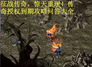 征战传奇，惊天重现！传奇授权到期攻略问答大全