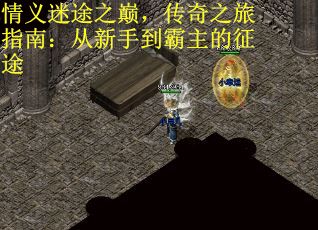 情义迷途之巅，传奇之旅指南：从新手到霸主的征途