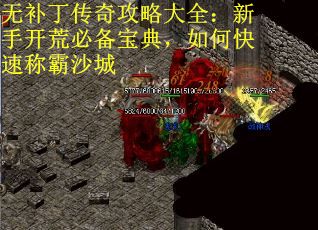 无补丁传奇攻略大全：新手开荒必备宝典，如何快速称霸沙城