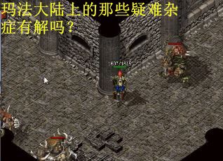玛法大陆上的那些疑难杂症有解吗？