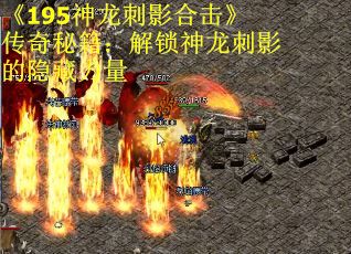 《195神龙刺影合击》传奇秘籍：解锁神龙刺影的隐藏力量