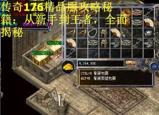 传奇176精品服攻略秘籍：从新手到王者，全面揭秘