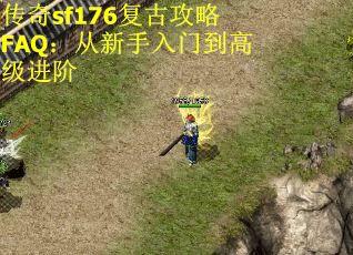 传奇sf176复古攻略FAQ：从新手入门到高级进阶