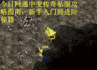 今日网通中变传奇私服攻略指南：新手入门到进阶秘籍