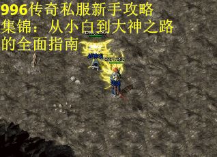 996传奇私服新手攻略集锦：从小白到大神之路的全面指南
