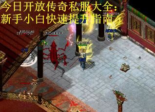 今日开放传奇私服大全：新手小白快速提升指南