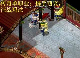 传奇单职业：携手萌宠，征战玛法