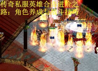 传奇私服英雄合击进阶之路：角色养成与战斗技巧