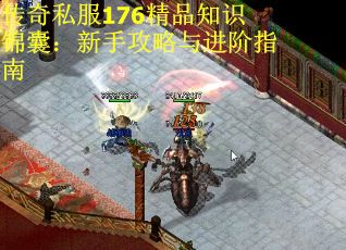 传奇私服176精品知识锦囊：新手攻略与进阶指南