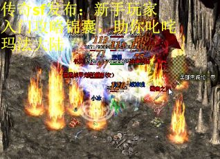 传奇sf发布：新手玩家入门攻略锦囊，助你叱咤玛法大陆
