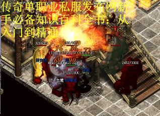 传奇单职业私服发布网新手必备知识百科全书：从入门到精通