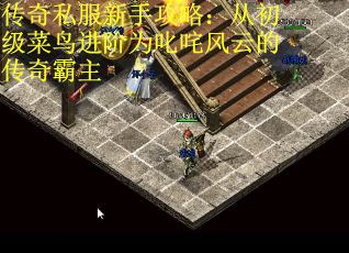 传奇私服新手攻略：从初级菜鸟进阶为叱咤风云的传奇霸主