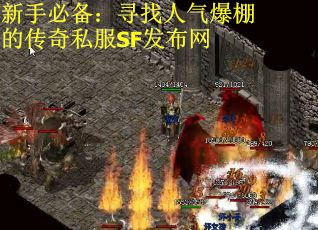 新手必备：寻找人气爆棚的传奇私服SF发布网