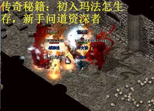 传奇秘籍：初入玛法怎生存，新手问道资深者