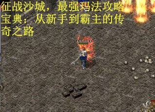 征战沙城，最强玛法攻略宝典：从新手到霸主的传奇之路