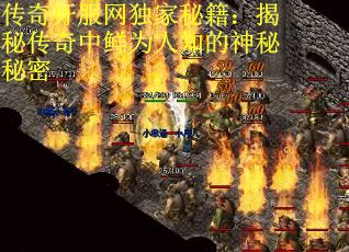 传奇开服网独家秘籍：揭秘传奇中鲜为人知的神秘秘密