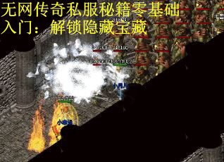 无网传奇私服秘籍零基础入门：解锁隐藏宝藏