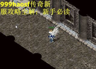 999haosf传奇新服攻略全解：新手必读