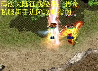 玛法大陆征战秘籍：传奇私服新手进阶攻略指南