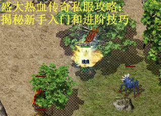 盛大热血传奇私服攻略：揭秘新手入门和进阶技巧