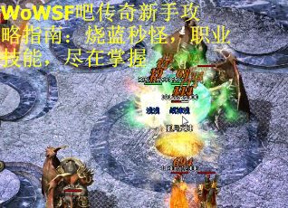 WoWSF吧传奇新手攻略指南：烧蓝秒怪，职业技能，尽在掌握