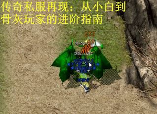 传奇私服再现：从小白到骨灰玩家的进阶指南