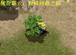 传奇霸业：巅峰问鼎之路