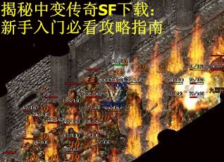 揭秘中变传奇SF下载：新手入门必看攻略指南