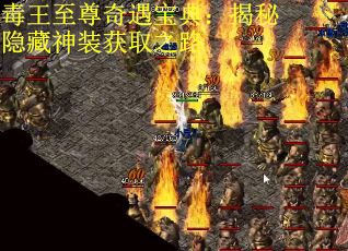 毒王至尊奇遇宝典:揭秘隐藏神装获取之路
