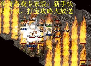 传奇游戏专家版：新手快速升级、打宝攻略大放送
