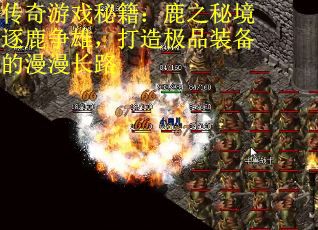 传奇游戏秘籍:鹿之秘境逐鹿争雄,打造极品装备的漫漫长路