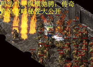 玛法世界纵横驰骋：传奇高阶攻略秘笈大公开