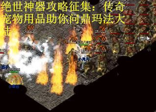 绝世神器攻略征集：传奇宠物用品助你问鼎玛法大陆