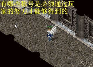 有哪些称号是必须通过玩家的努力才能够得到的