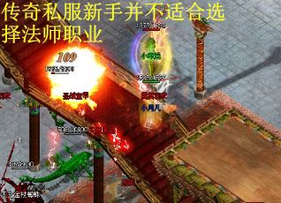 传奇私服新手并不适合选择法师职业