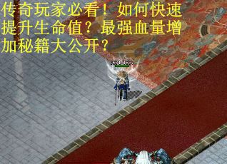 传奇玩家必看!如何快速提升生命值?最强血量增加秘籍大公开?