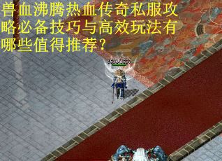 兽血沸腾热血传奇私服攻略必备技巧与高效玩法有哪些值得推荐?