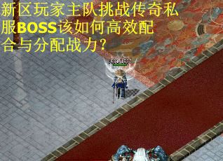 新区玩家主队挑战传奇私服BOSS该如何高效配合与分配战力？