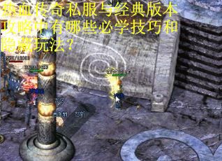 热血传奇私服与经典版本攻略中有哪些必学技巧和隐藏玩法？