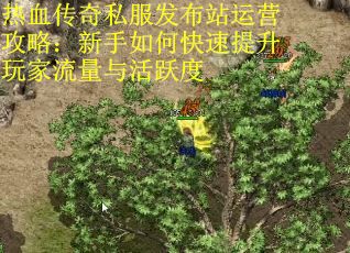 热血传奇私服发布站运营攻略：新手如何快速提升玩家流量与活跃度