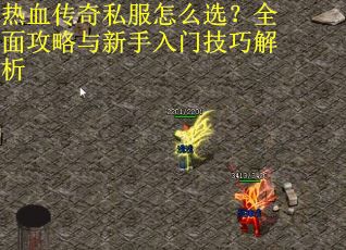 热血传奇私服怎么选？全面攻略与新手入门技巧解析